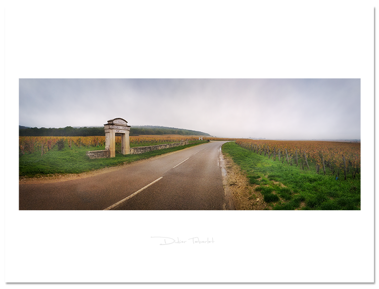 panorama paysage Latricieres Chambertin